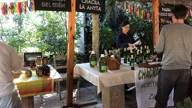 Opinii despre Punta Ballena Market în Punta Ballena - Gastronomía y hostelería