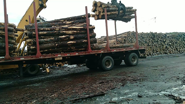 Opinii despre El Sabor de Villa Sara în Villa Sara - Gastronomía y hostelería