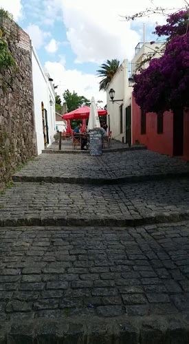 Los Kamikazes Colonia