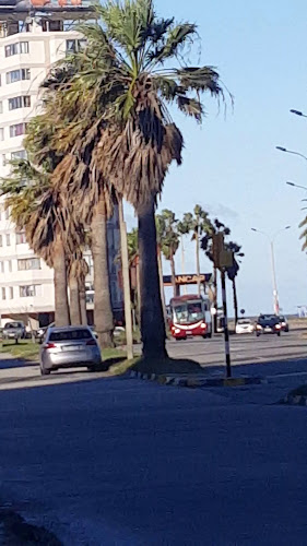 Comentarii opinii despre Salmuera