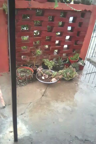 Opinii despre Sede de Tito Borjas în San José de Mayo - Gastronomía y hostelería