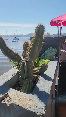 Comentarii opinii despre Muelle Sur