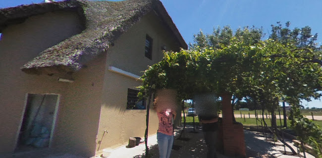 Don Apo - Montevideo