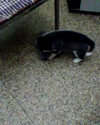 escuela de danza alur - Montevideo