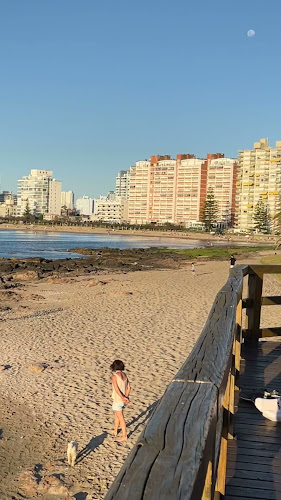 Atlantico - Gastronomía y hostelería