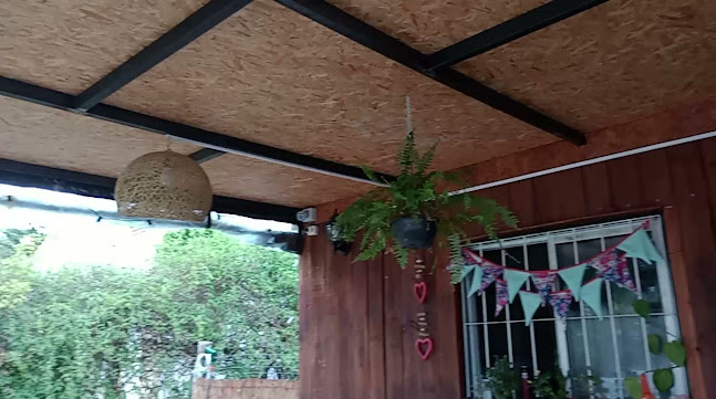 Mandalas Vegano-Vegetariano