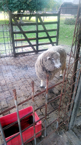 Hostal Punta Pueblo - San José de Mayo