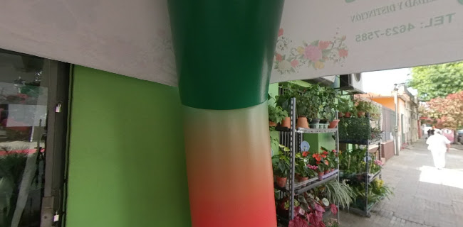 Floreria "Brasil Flores" - Rivera