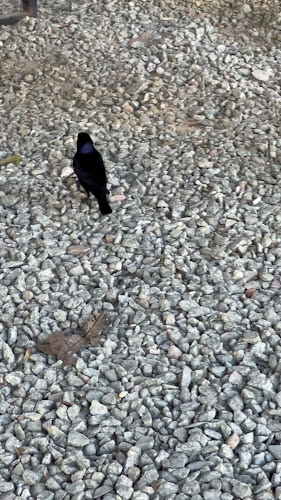 Ave Italia, 20100 Punta del Este, Departamento de Maldonado