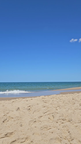 Opinii despre La Susana José Ignacio în Maldonado - Gastronomía y hostelería