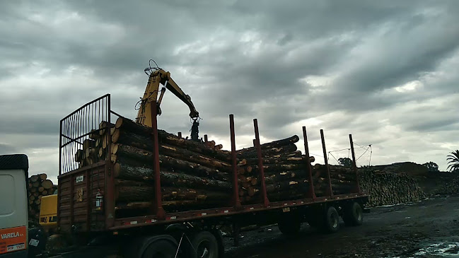 Opinii despre El Sabor de Villa Sara în Villa Sara - Gastronomía y hostelería