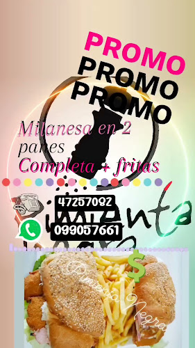 Pimienta Negra - Paysandú