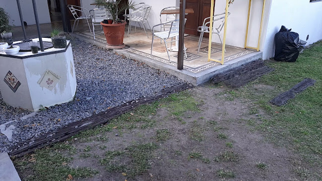 Comentarii opinii despre Freddo