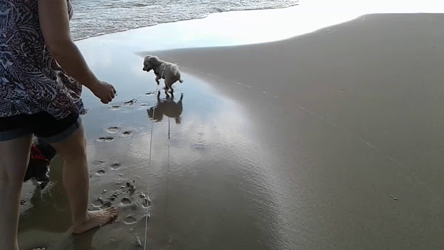 Comentarii opinii despre Tequila kitchen & Bar