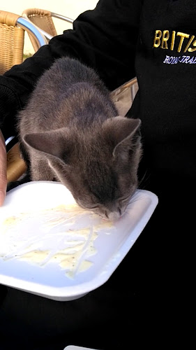 Opinii despre El Faro în Atlántida - Gastronomía y hostelería