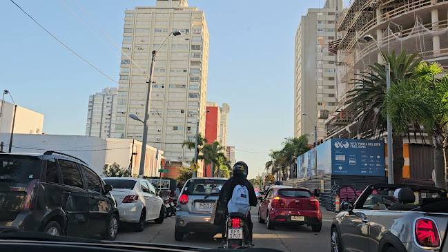 Gelateria Arlecchino - Gastronomía y hostelería