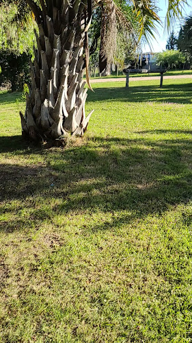 Opinii despre Espacio Pausa în El Edén - Gastronomía y hostelería