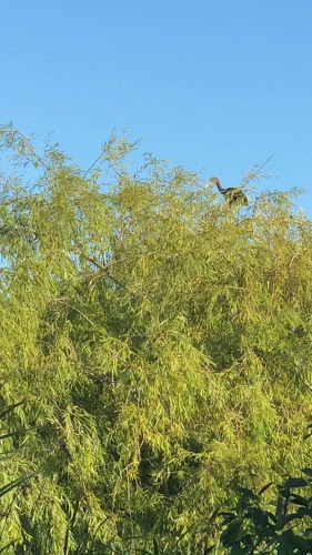El Abrazo - Gastronomía y hostelería