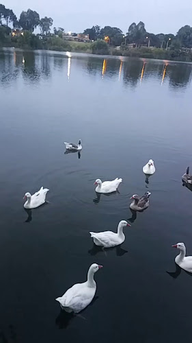 Indico Pizza Bar - Ciudad de la Costa