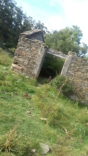 Panaderia Calera Del Rey