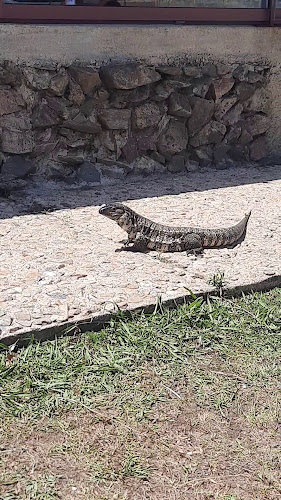 Opinii despre 7 Minutos în Rocha - Gastronomía y hostelería