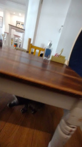 Comentarii opinii despre ADRIANUZCA'S CAT CAFÉ ☕🐈