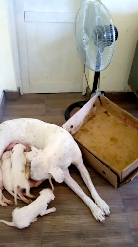 Plaza De Comidas Oxigeno