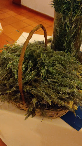 Opinii despre Puerto Aromas în 18 de Mayo - Gastronomía y hostelería