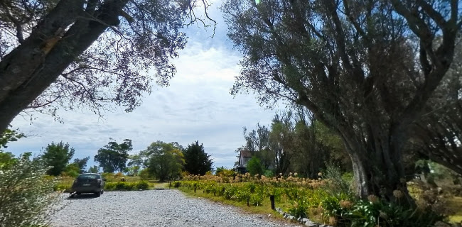 Armonia Somers 1150, 70000 Col. del Sacramento, Departamento de Colonia