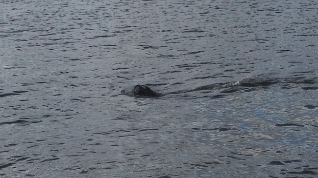 Rambla General Jose Artigas Y, 20100 Punta del Este, Departamento de Maldonado
