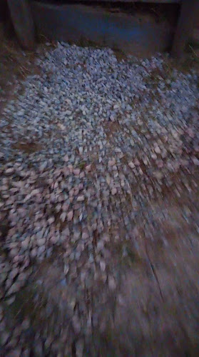 El Clú - Gastronomía y hostelería