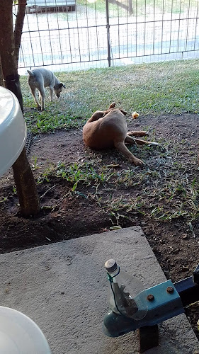 Opinii despre Delicias Del Valle în Treinta y Tres - Gastronomía y hostelería