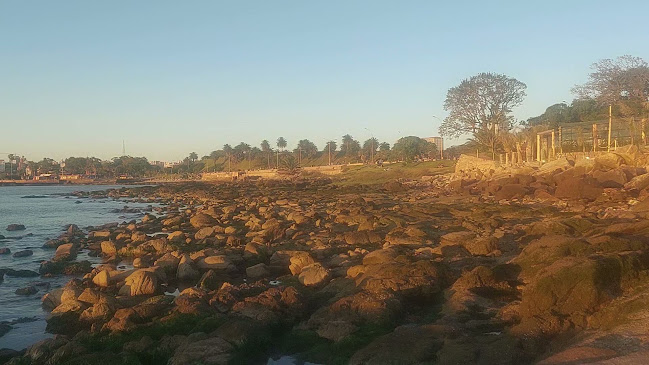 Rbla. Pdte. Wilson 2180, 11300 Montevideo, Departamento de Montevideo