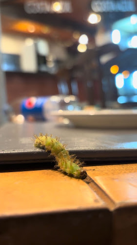 Canelones 2404, 11300 Montevideo, Departamento de Montevideo