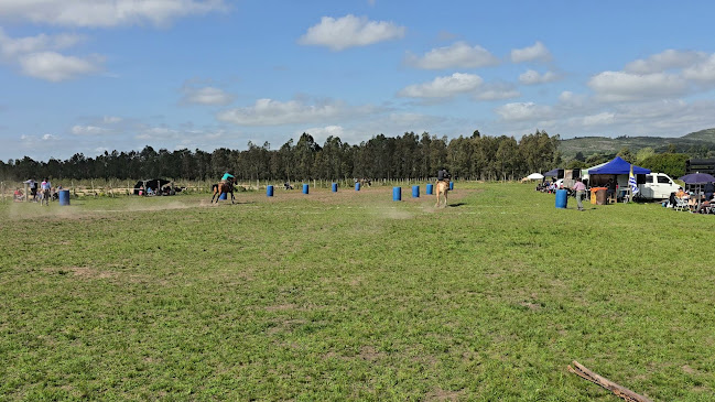 La casa de la abuela - Nueva Carrara
