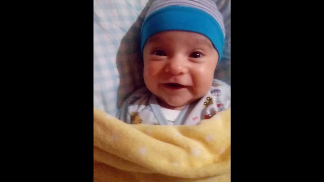 Puerto Aromas - Gastronomía y hostelería