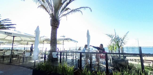 Opinii despre Atlantico în Punta del Este - Gastronomía y hostelería