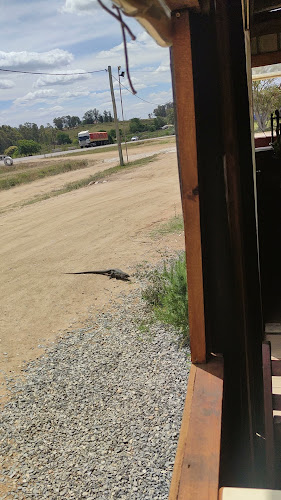 PARRILLA La Liebre - Gastronomía y hostelería