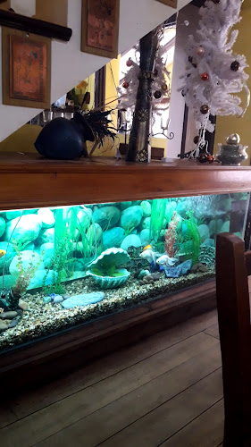 Jose Pedro Varela 388, 70500 Juan L. Lacaze, Departamento de Colonia