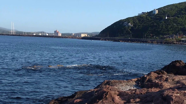 Kraken - Gastronomía y hostelería