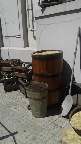 Opinii despre Cerveza Pilsen by F.N.C în Montevideo - Gastronomía y hostelería