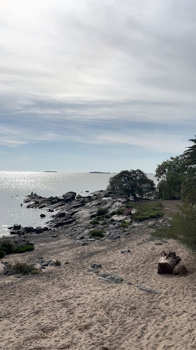 Comentarii opinii despre Reina Café-Bar