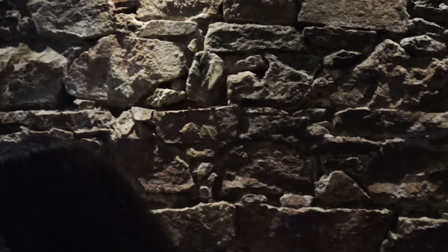 Comentarii opinii despre Bar El Hormiguero