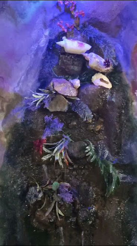 Bar Carlitos - Parque del Plata