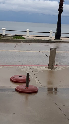 Comentarii opinii despre Terranova