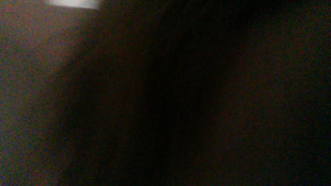 Opinii despre Don Zenon în Minas - Gastronomía y hostelería