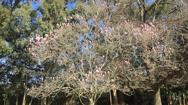 Chacra La tardecita - Las Piedras