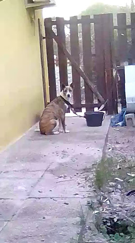 Panadería Pío - Maldonado