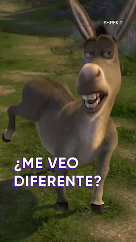 Opinii despre Provisión Panaderia LG în Artigas - Gastronomía y hostelería