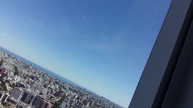 Piso 40 Club de Ejecutivos de Montevideo - Gastronomía y hostelería